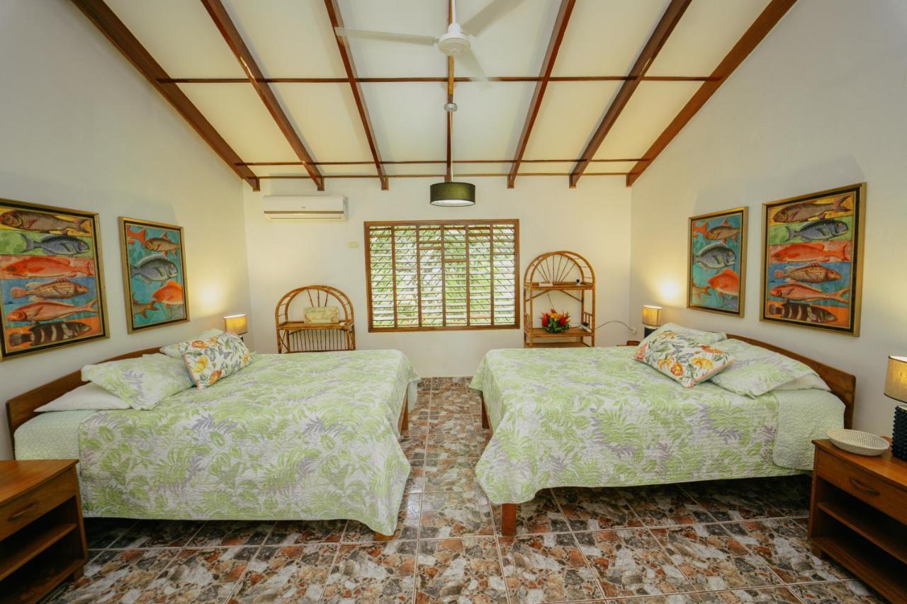 Dreamy Contentment Matapalo  Exterior foto