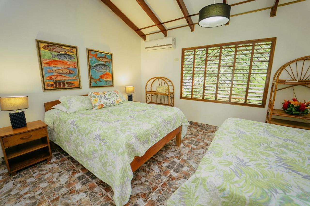 Dreamy Contentment Matapalo  Exterior foto