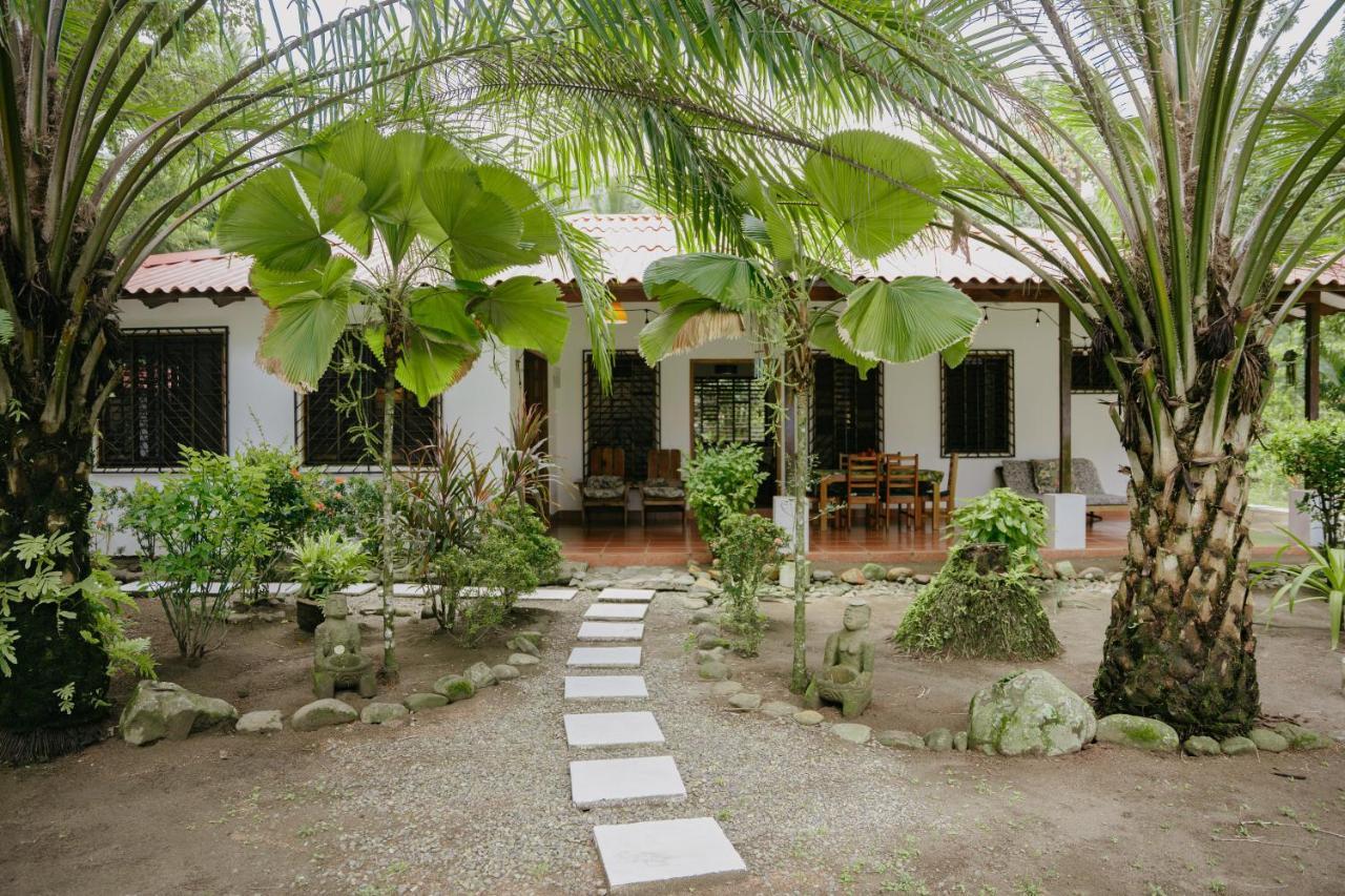 Dreamy Contentment Matapalo  Exterior foto